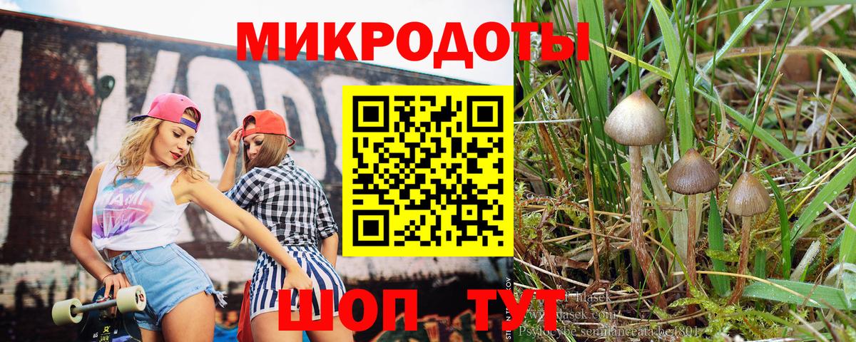 Псилоцибиновые грибы Psilocybine cubensis Гагарин